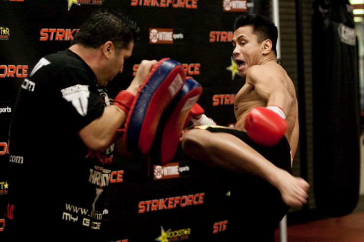 Cung Le