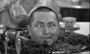 Curly Howard