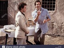 Curtis Armstrong