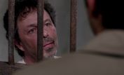 Curtis Armstrong