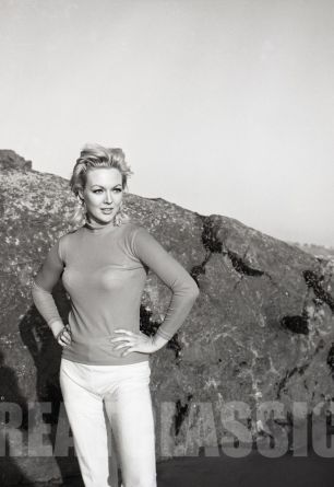 Cynthia Lynn