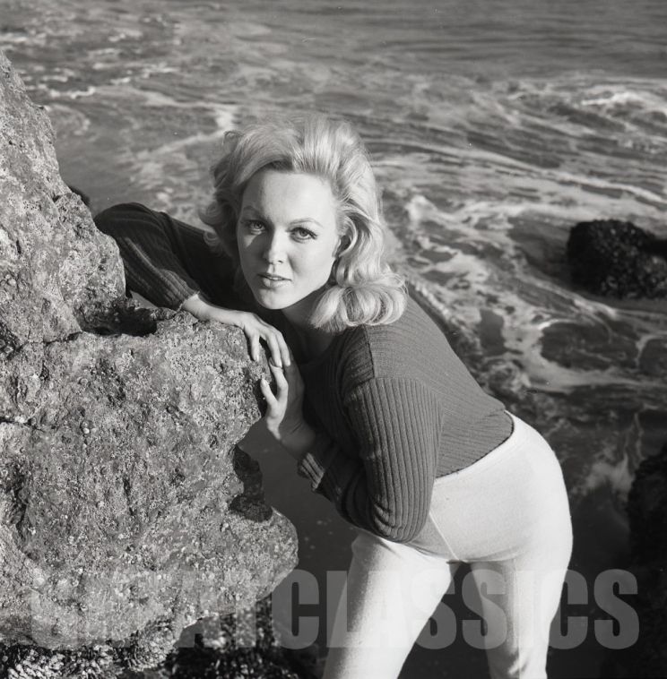 Cynthia Lynn