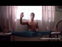 Cynthia Van Damme