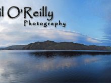 Cyril O'Reilly