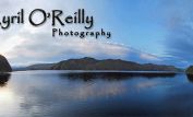 Cyril O'Reilly