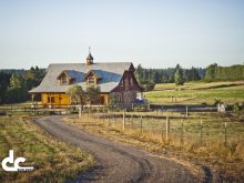 D.C. Barns