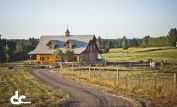 D.C. Barns