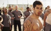 D.J. Cotrona