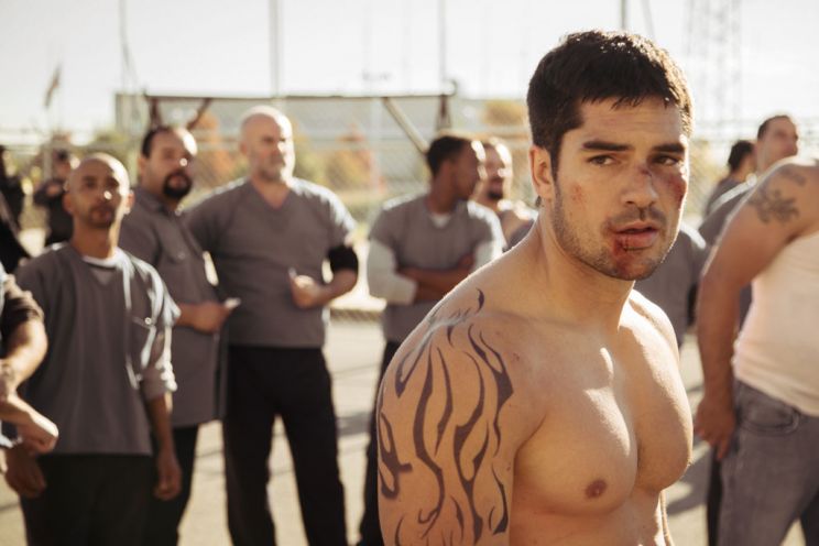 D.J. Cotrona