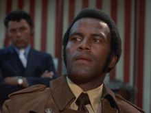 D'Urville Martin
