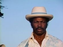 D'Urville Martin
