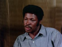 D'Urville Martin