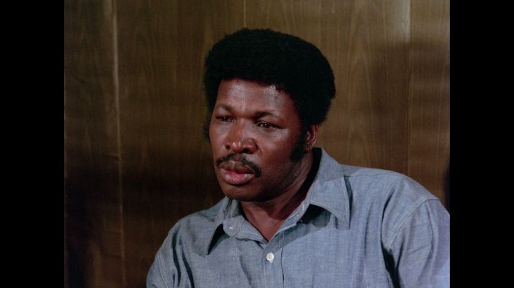 D'Urville Martin