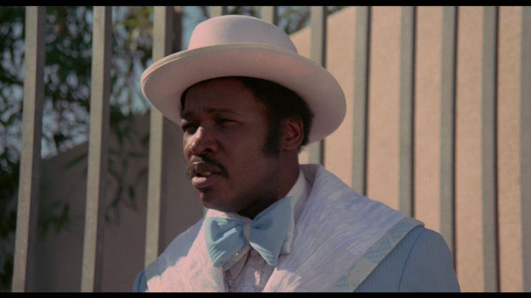 D'Urville Martin