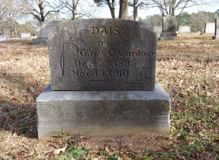 Daisy Gardner