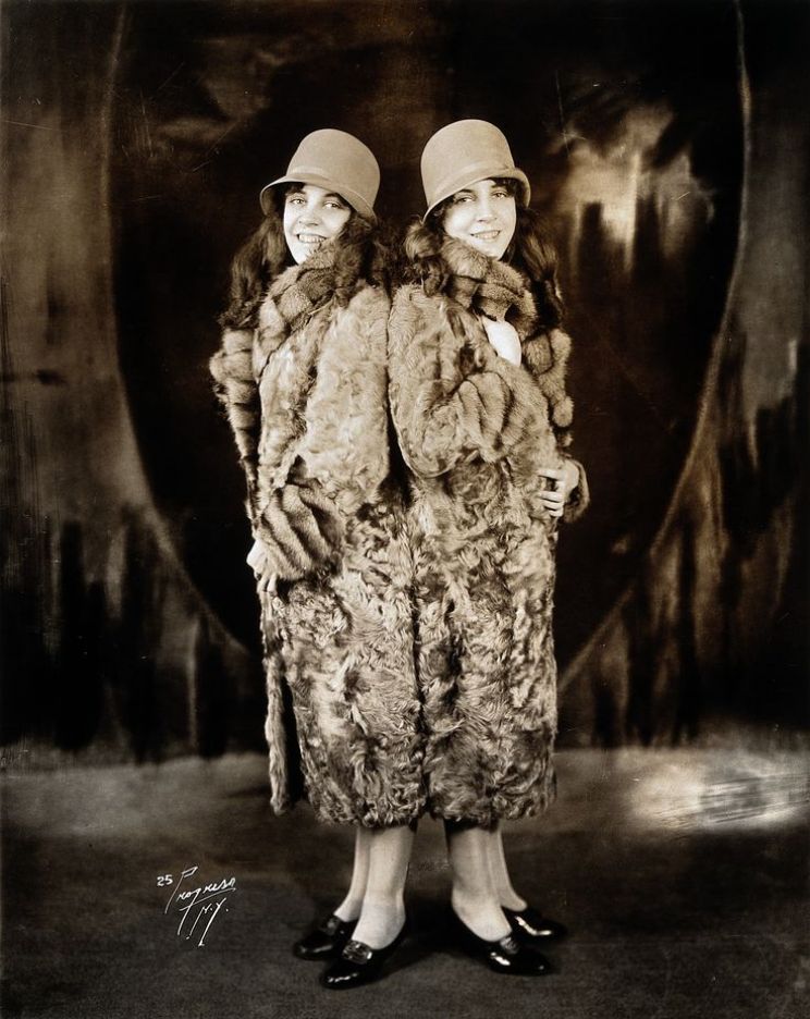 Daisy Hilton