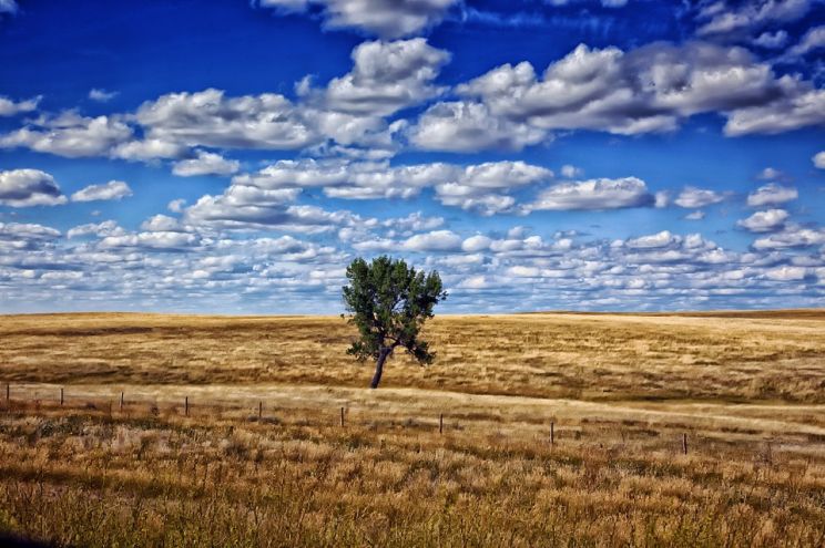 Dakota Sky