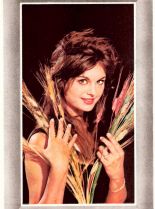 Daliah Lavi photo