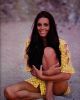Daliah Lavi