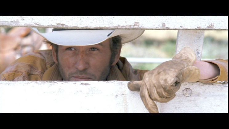 Dallas Roberts