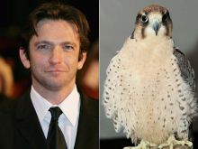 Dan Futterman