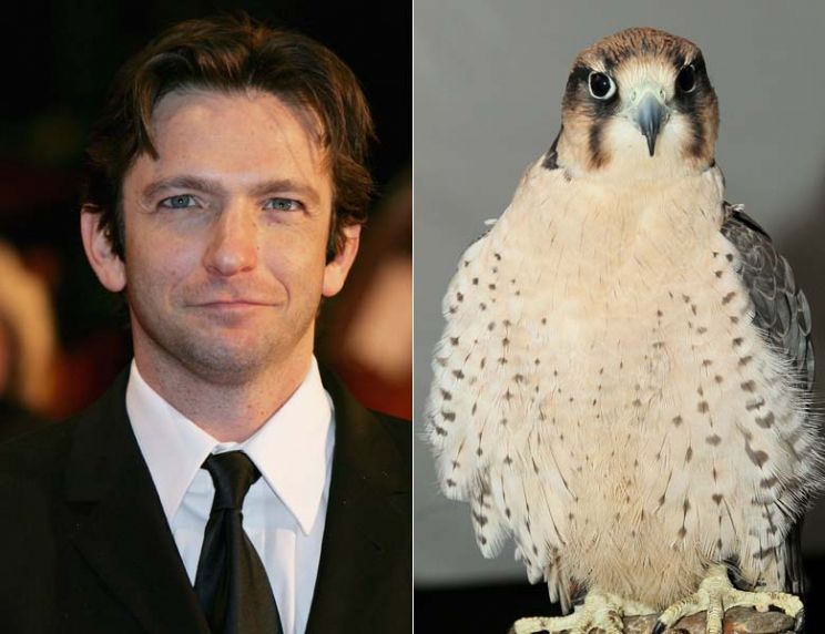 Dan Futterman