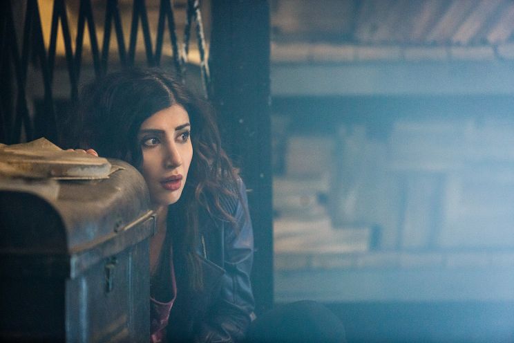 Dana DeLorenzo
