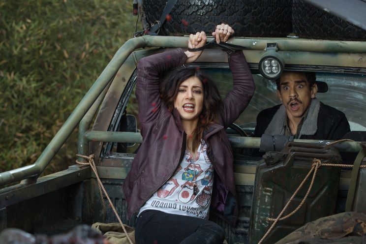 Dana DeLorenzo