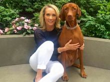 Dana Perino