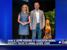 Dana Perino photo