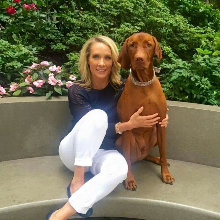 Dana Perino