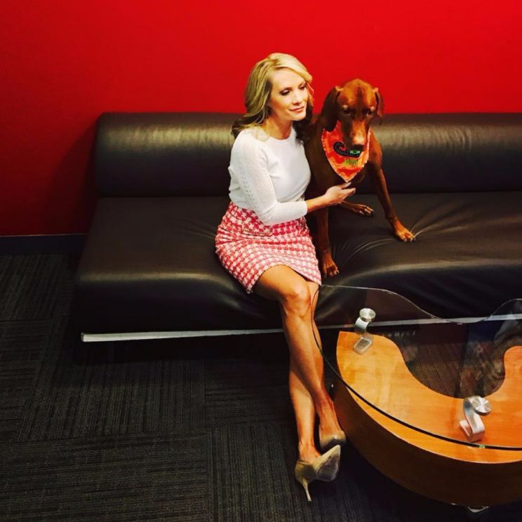 Dana Perino
