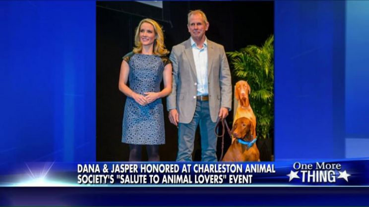 Dana Perino