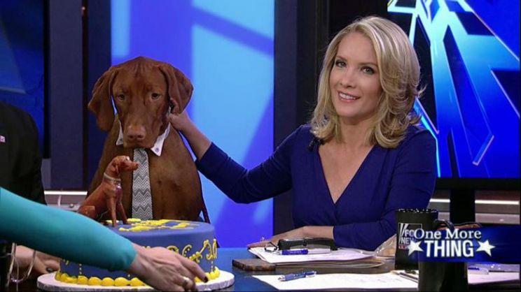 Dana Perino