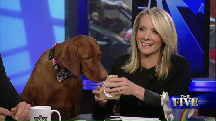 Dana Perino