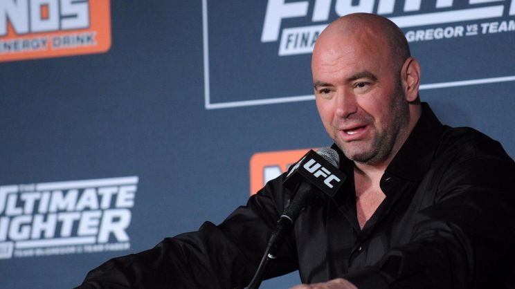 Dana White