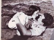 Dana Wynter #597053 picture (Landscape Medium)