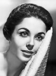 Dana Wynter