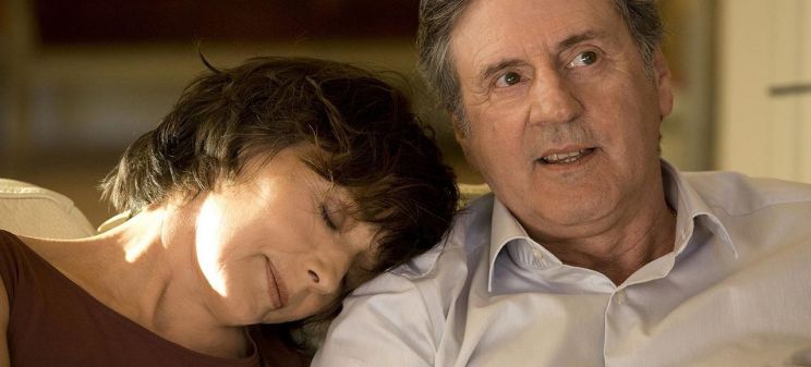 Daniel Auteuil