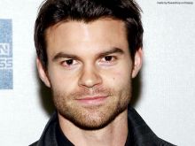 Daniel Gillies