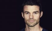 Daniel Gillies