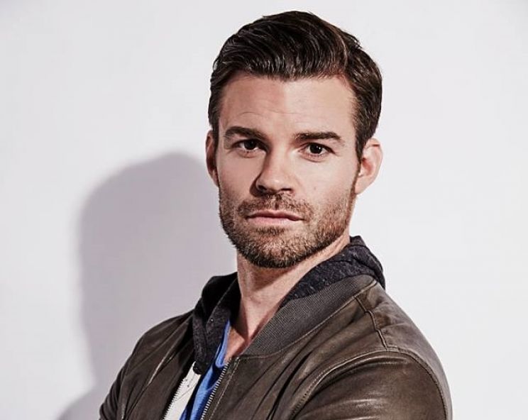 Pictures of Daniel Gillies