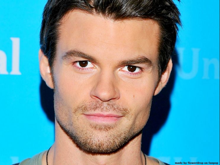 Daniel Gillies