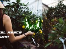 Daniel Reece