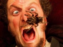 Daniel Stern