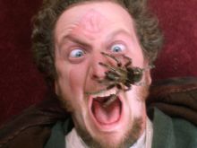 Daniel Stern