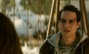 Daniel Zovatto
