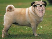 Danny DeVito