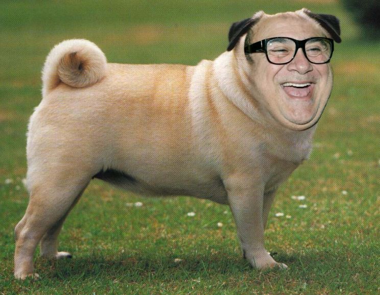 Danny DeVito