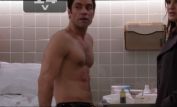 Danny Pino